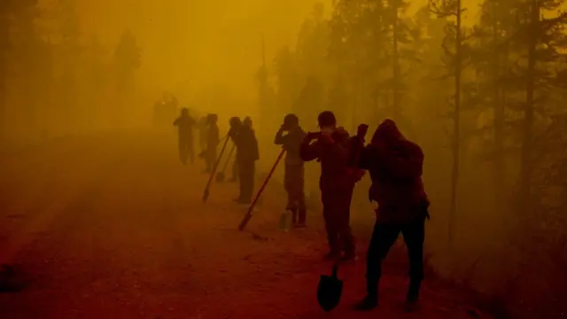 Лесной пожар