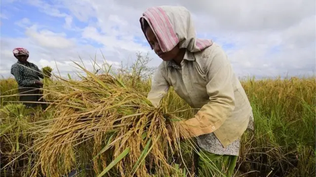 ప్రతీకాత్మక చిత్రం