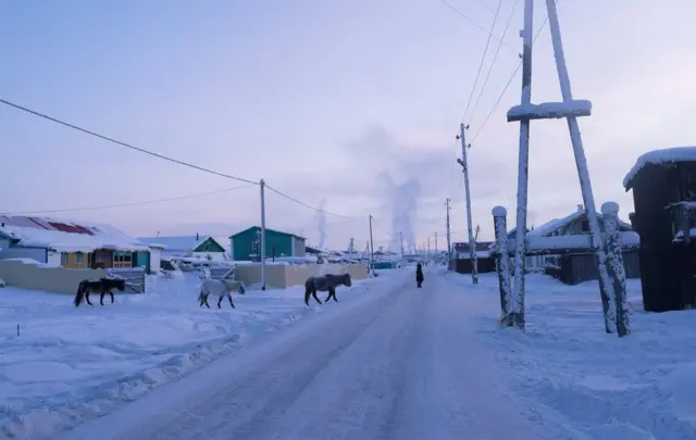 వీధి దాటుతున్న మూడు గుర్రాలు