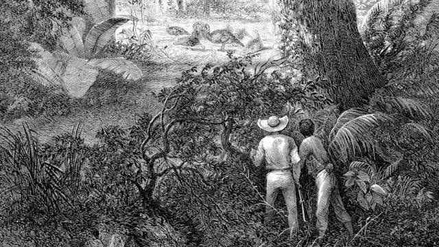 Una ilustración de caza de guajolotes silvestres en México
