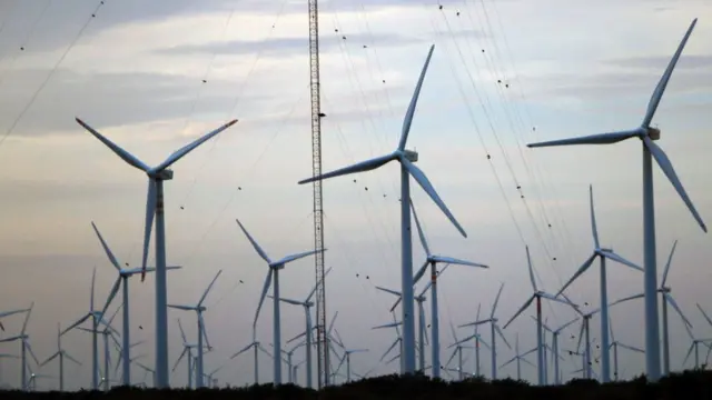 Una planta eólica en México