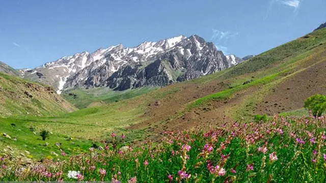 زاگرس
