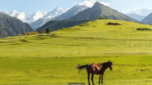 جورجیا