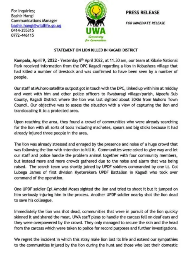 Atẹjade ti ileesẹ to wa fun akoso ẹranko igbẹ ni ilẹ Uganda fisita lori kiniun to wọ abule