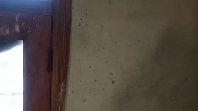 ਘਰ ਦੀਆਂ ਕੰਧਾਂ ਉੱਪਰ ਪਏ ਖੂਨ ਦੇ ਧੱਬੇ