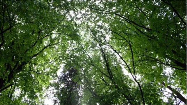 ఆ గ్రహం ఏదో తెలుసా