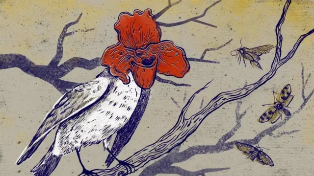 رسم تخيلي لـ "محاكاة الزهور"