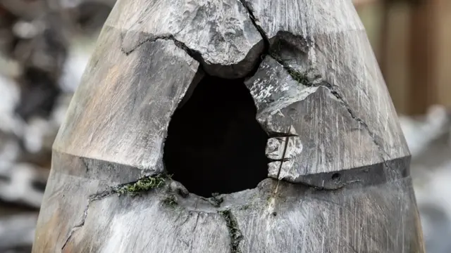 Предполагаемый фрагмент "Кинжала"