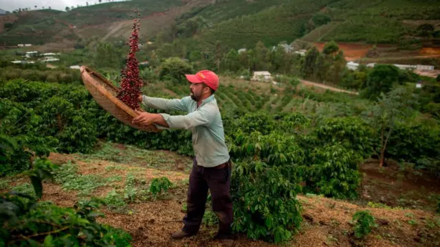 фермер у Бразилії