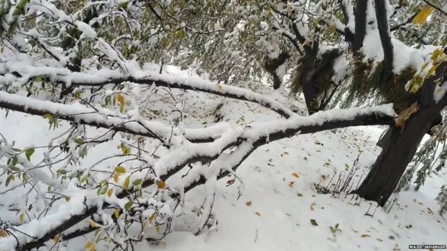 कश्मीर में बर्फ़बारी