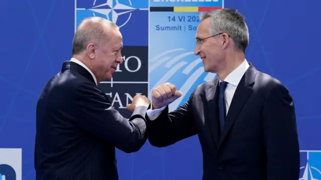 Erdoğan ve Nato Genel Sekreteri Jens Stoltenberg,dirsek tokuşturuyor
