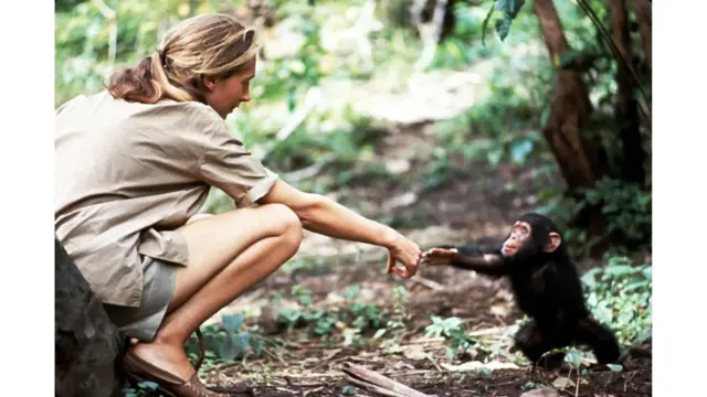 Jane Goodall