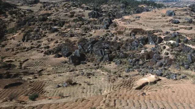 சித்தரிப்புப் படம்