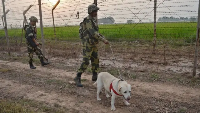 સરહદ પર કૂતરા સાથે ચોકી કરતા લશ્કરી જવાન