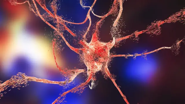 Neurona en el cerebro