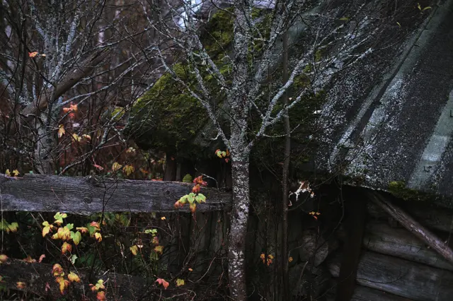 Фото Дмитрия Ермакова