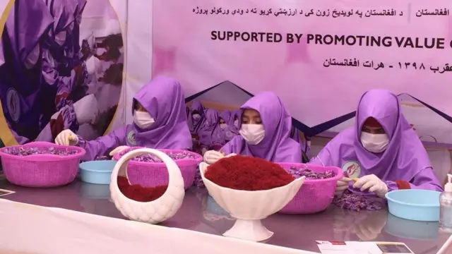 په هرات کې د زغفرانو نندارتون