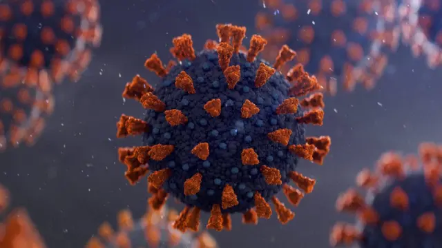 કોરોના વાઇરસ