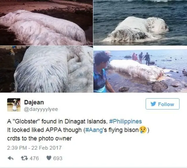 พบ "กล็อบสเตอร์" บนเกาะดินากัต ที่ฟิลิปปินส์ ดูเหมือนตัวการ์ตูนอาปา (กระทิงบินได้)