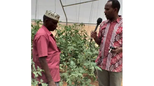 Weriye Cabdillaahi Jaamac