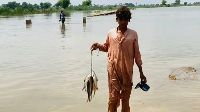 لاڑکانہ