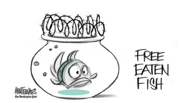 Ali Dorani cartoon