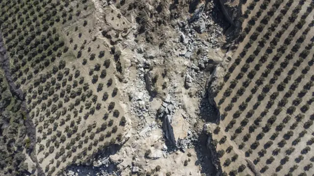 Foto udara yang diambil dron menunjukkan garis patahan di sebuah kebun zaitun di distrik Hatay, Turki, setelah salah satu gempa susulan pada 22 Februari.