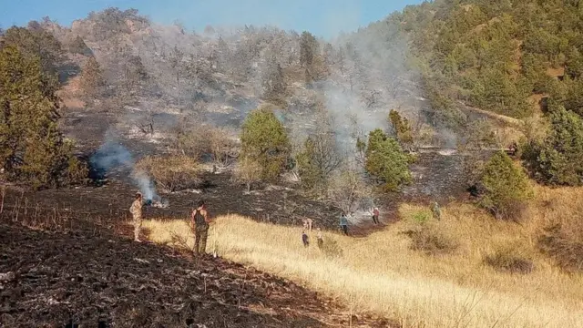 Зоминдаги ёнғин