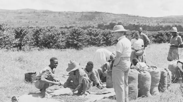 أسس البريطانيون مزارع البن في سريلانكا وكينيا وغيانا وغيرها