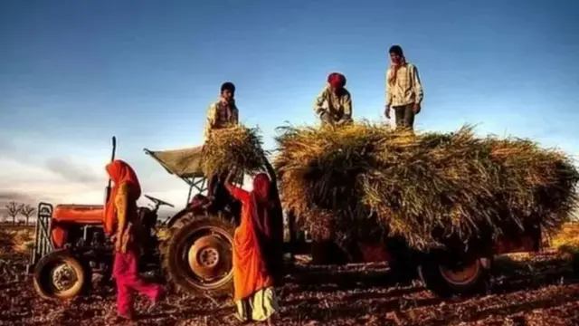 சர்க்கரை ஏற்றுமதி