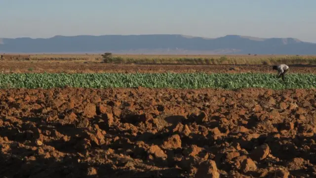 محطة ضخمة للطاقة الشمسية في أفريقيا قد تمد أوروبا بالطاقة