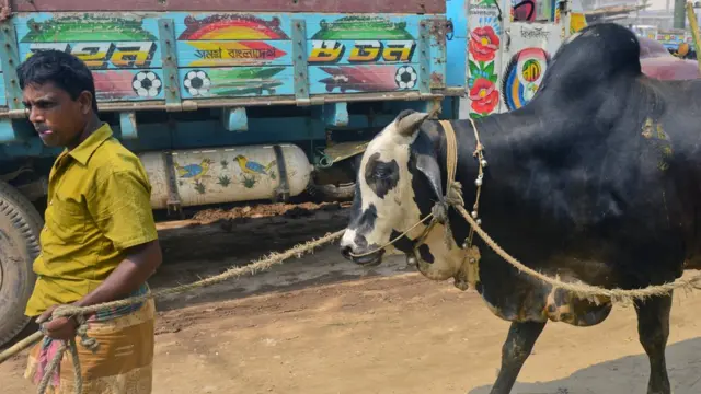 বাংলাদেশে কুরবানির জন্য গত বছর এক কোটির উপর গবাদি পশু বিক্রি হয়েছে।