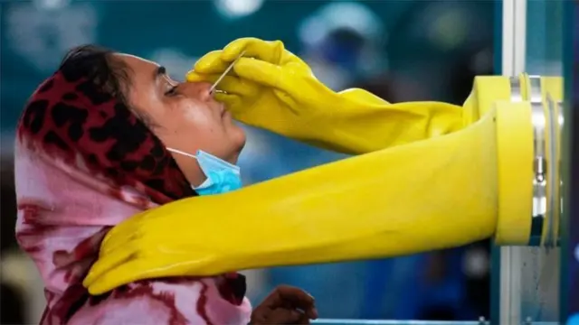 নমুনা সংগ্রহ