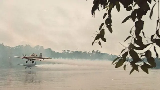 Avión fumigando