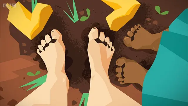 Pies sobre tierra