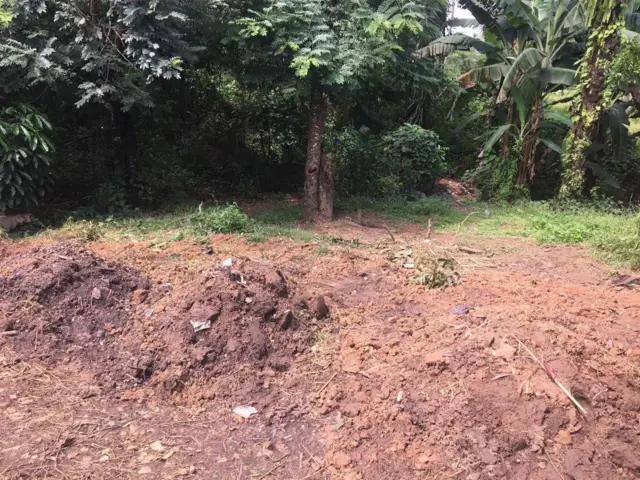 Eliela ụmụnne atọ a nwụrụ mana nne ya na nwane ha nwoke ka nọ n'ụlọ ọgwụ