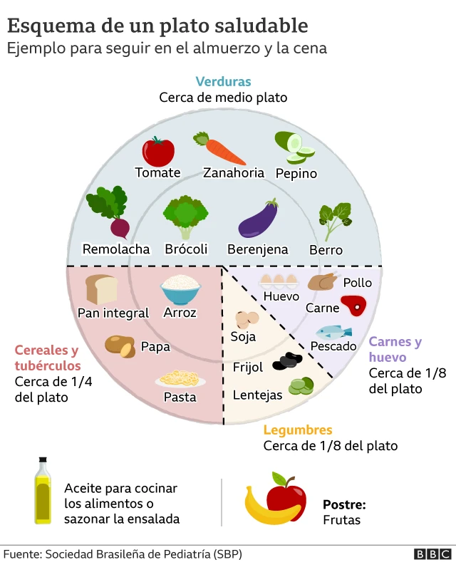 Esquema de un plato saludable