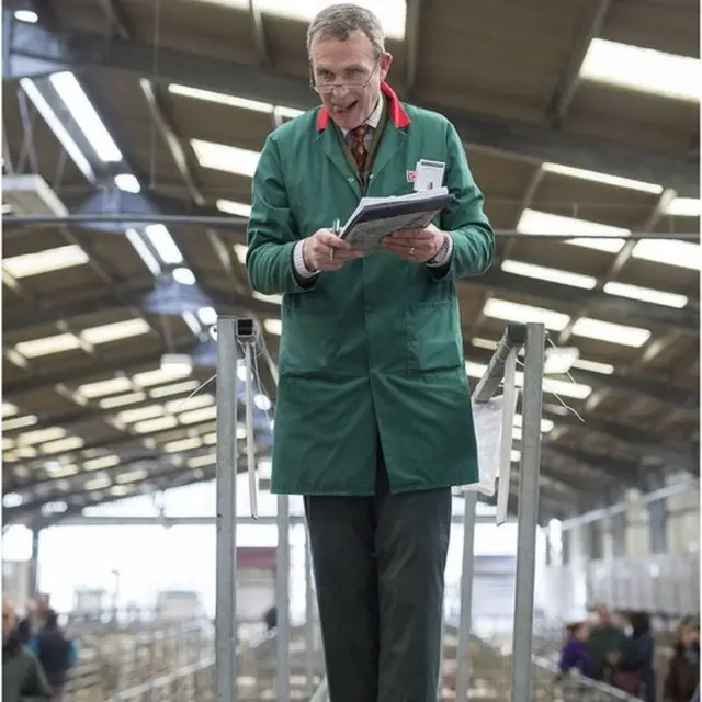 पशु मेला