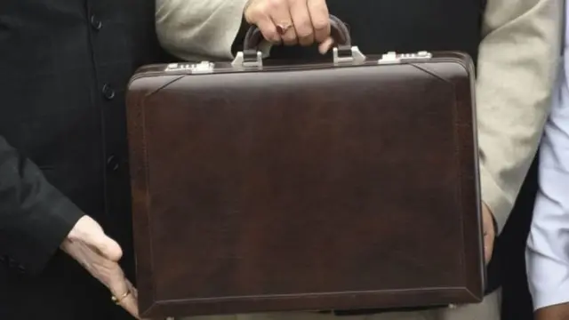 બેગની તસવીર