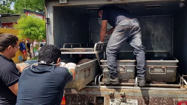 பிரேசில் வங்கிக் கொள்ளை