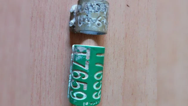 Qubeelaa luka allaattiirra ture, barreeffama http//ring.stornit.gda.pl ofirraa qabu