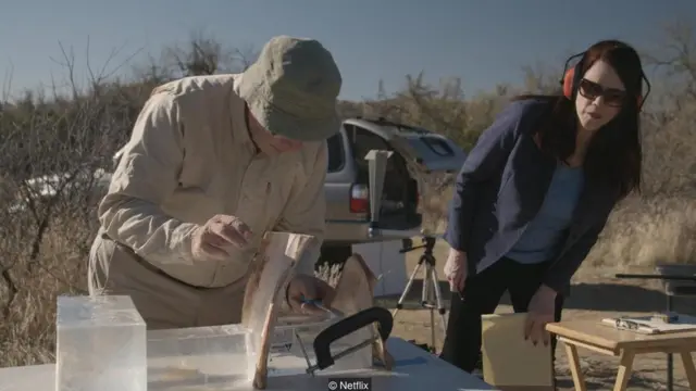 मेकिंग अ मर्डरर