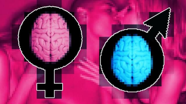Collage para indicar sexo femenino y masculino