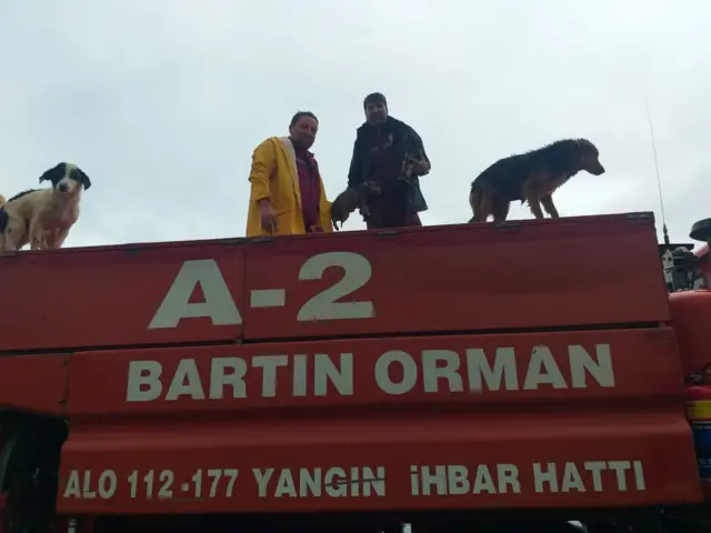 Sel sularının etkilediği barınaktan 300 köpek kurtarıldı, 56 köpekse öldü