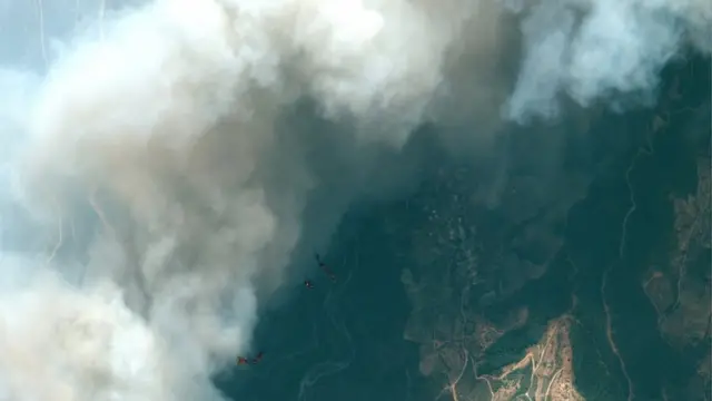 Так пожежі в Туреччині виглядають із супутника