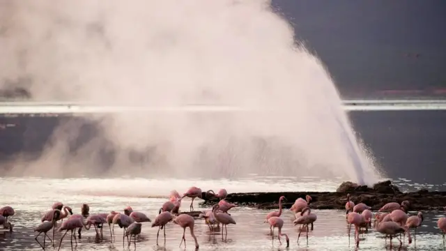 L'énergie géothermique est peut-être plus importante dans les régions où il y a des sources chaudes et des geysers, mais même dans des climats plus frais, elle peut fournir une énergie propre importante.