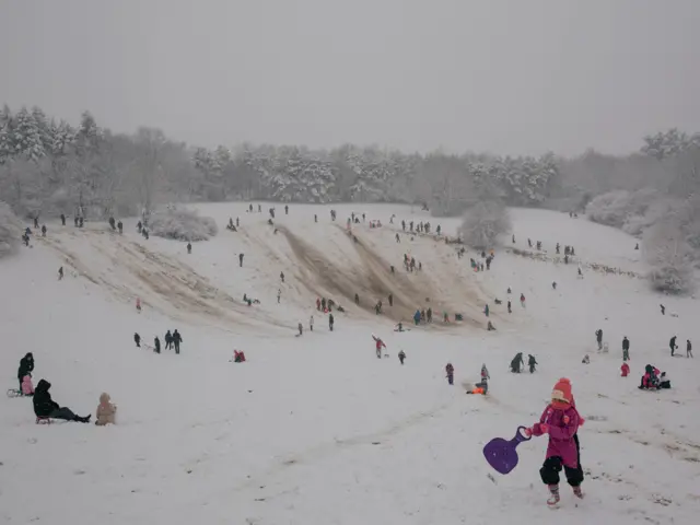 sneg, zima, košutnjak, sankanje
