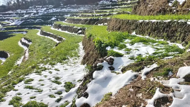 गहुँबारीमा हिमपात