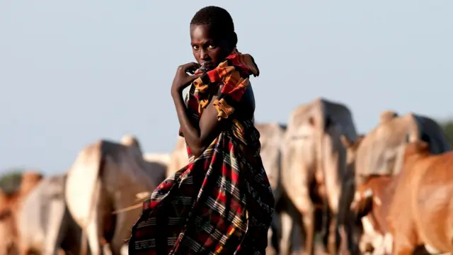 Источником распространения сибирской язвы может быть домашний скот