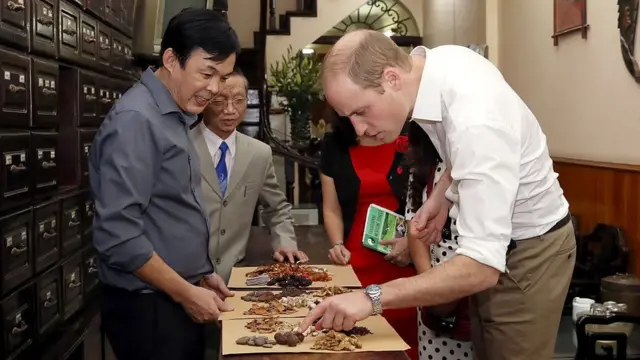 Động vật hoang dã